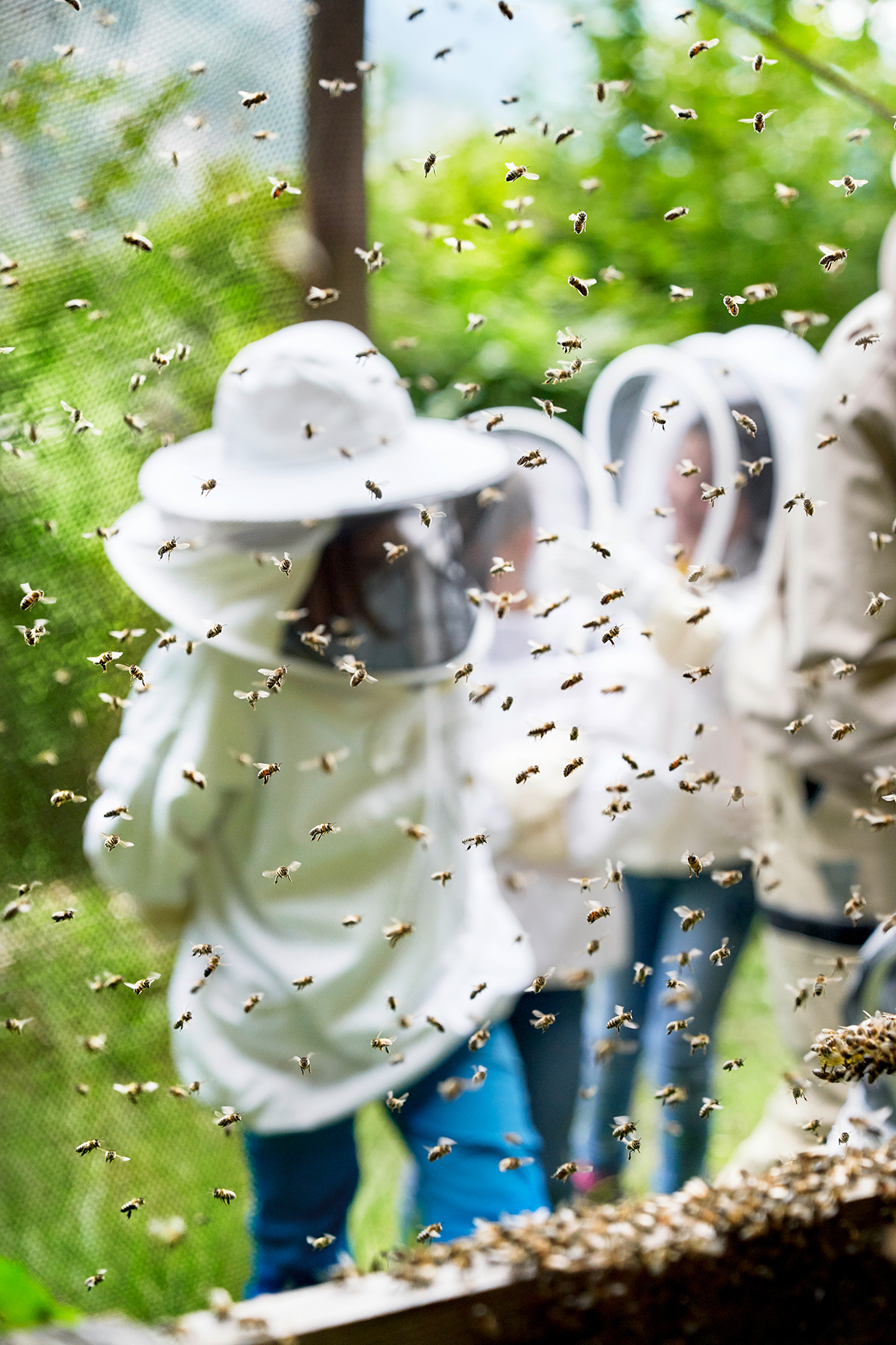 gerry amstutz fotograf ⇒