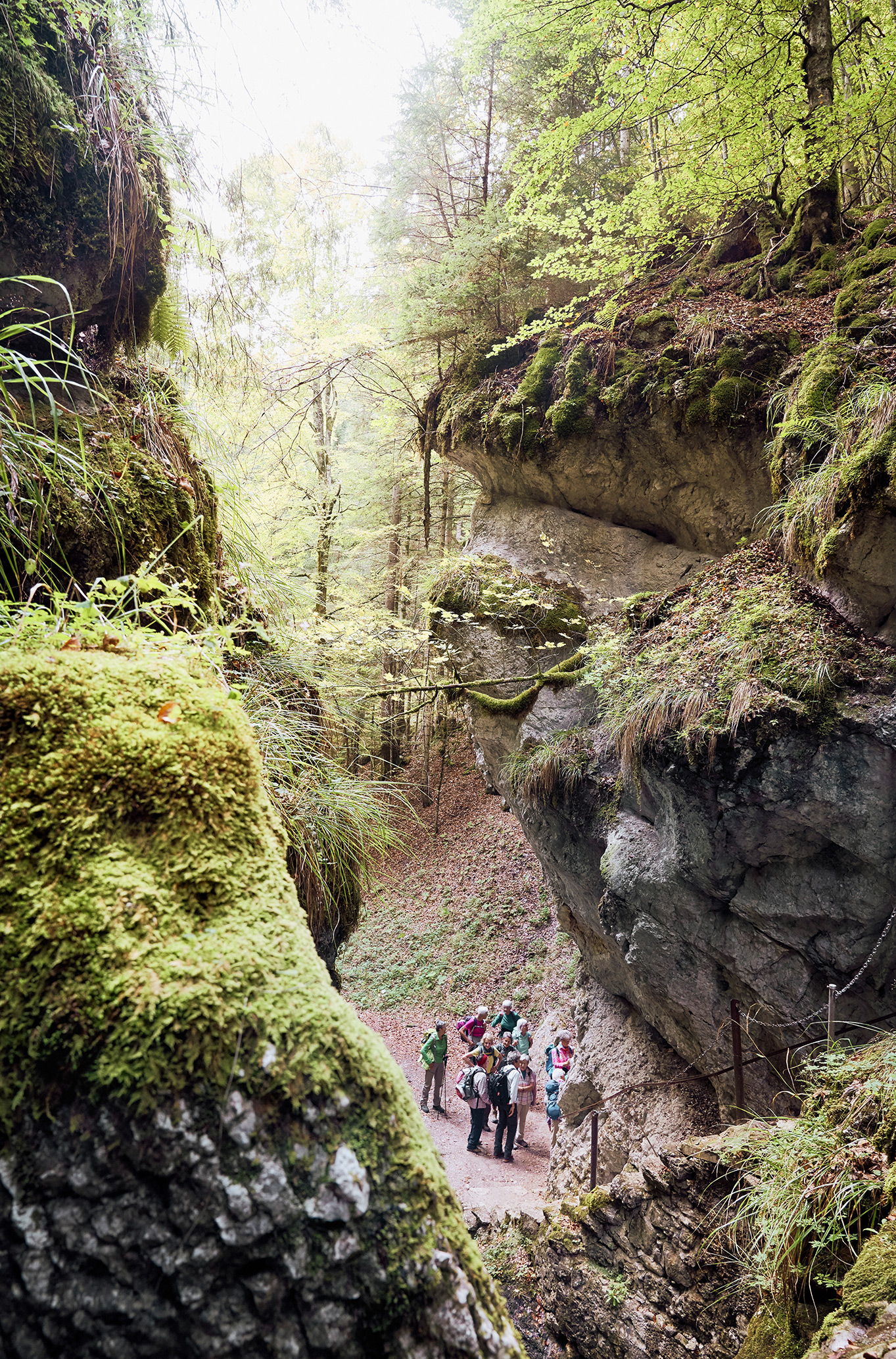 gerry amstutz fotograf ⇒