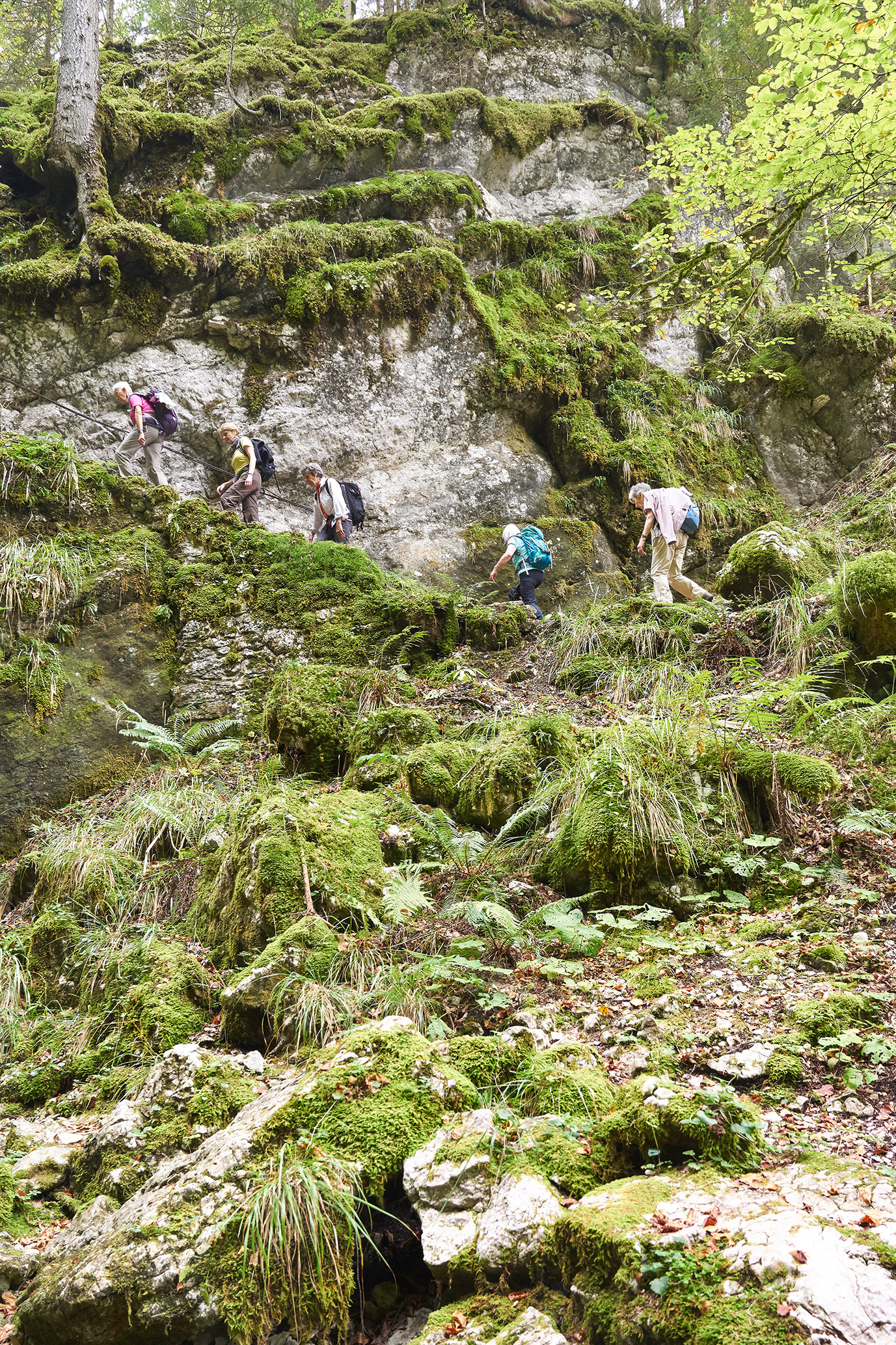 gerry amstutz fotograf ⇒