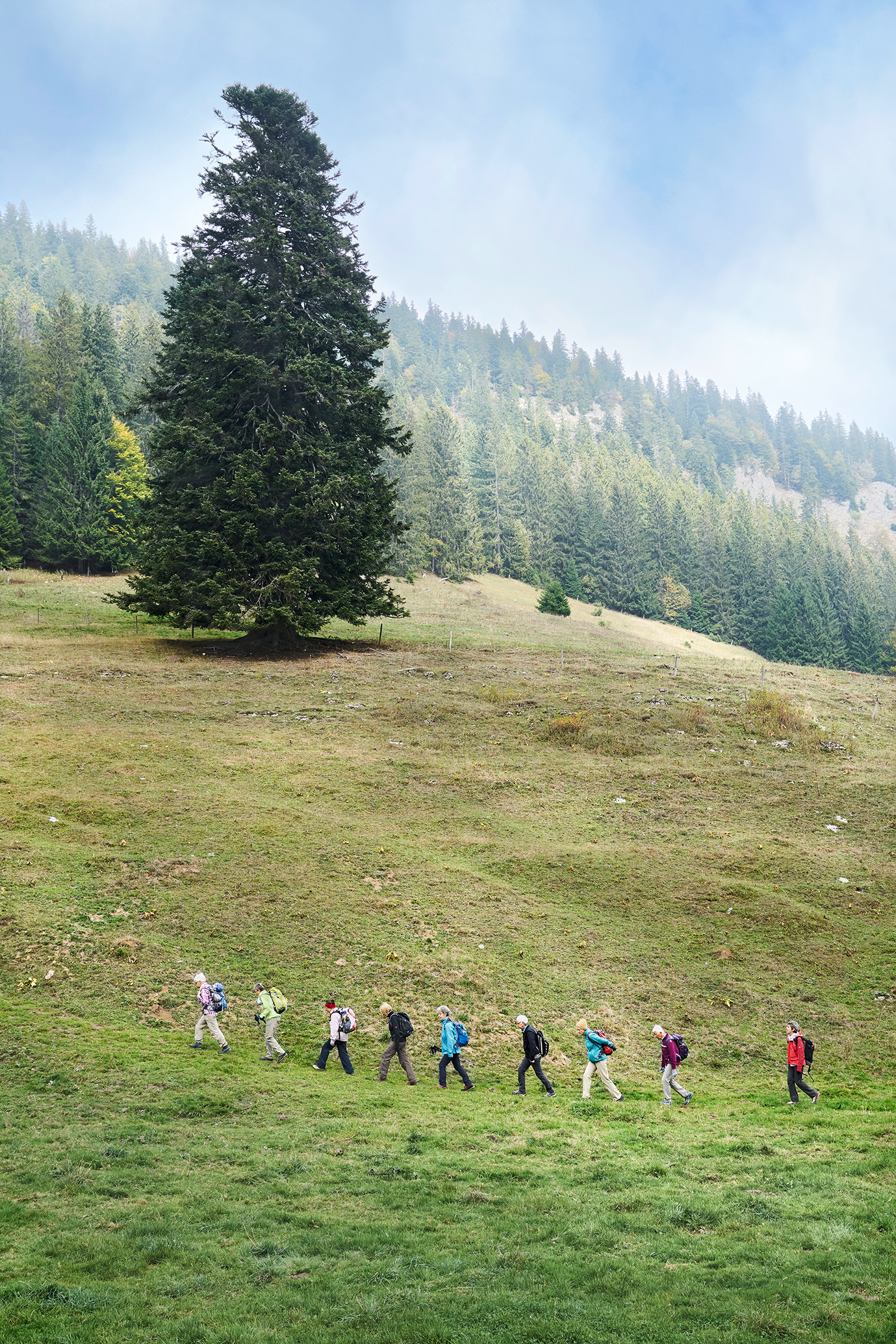 gerry amstutz fotograf ⇒