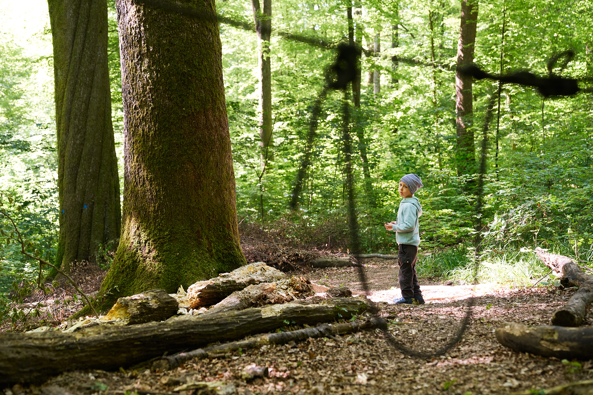 gerry amstutz fotograf  ⇒ 