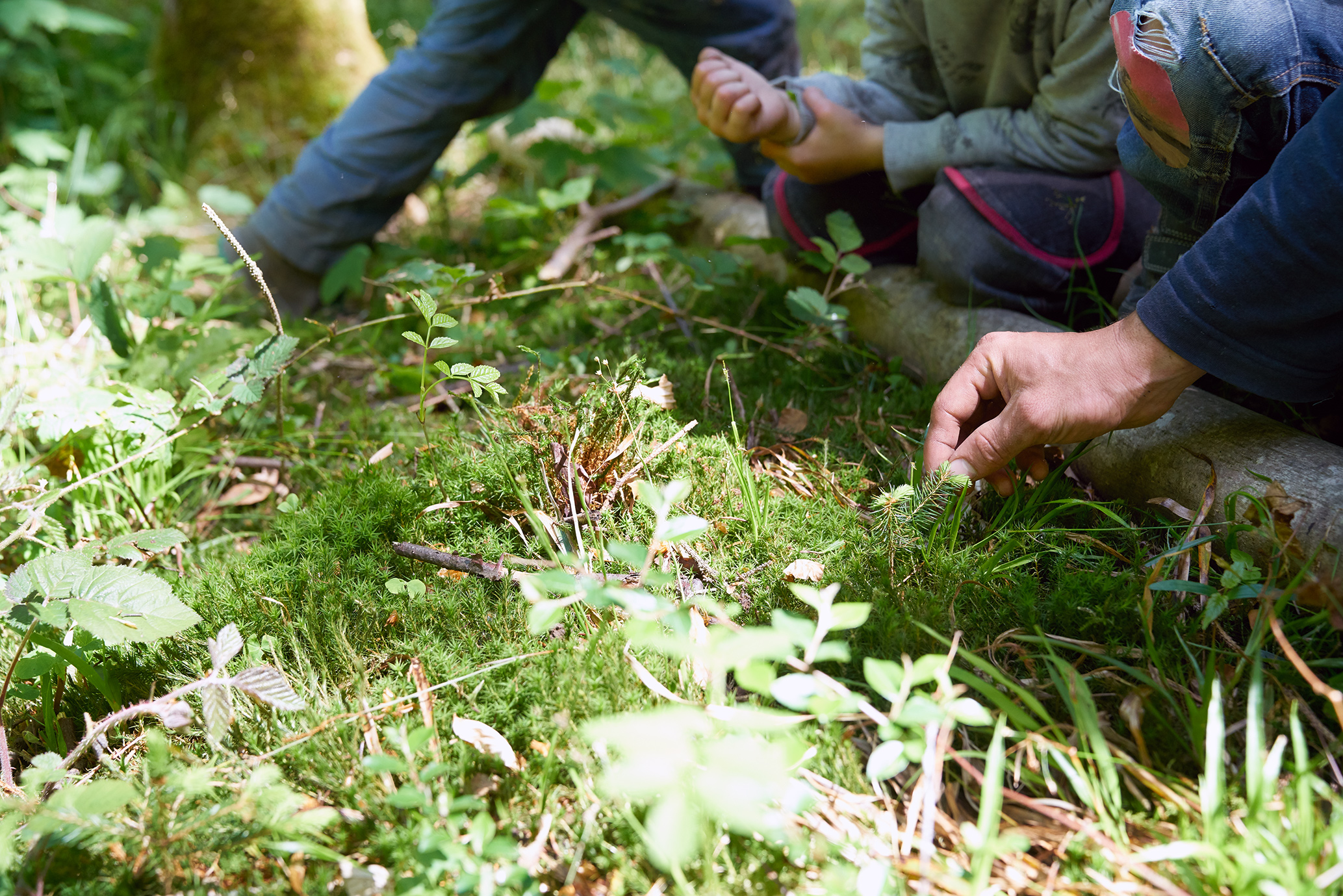 gerry amstutz fotograf  ⇒ 