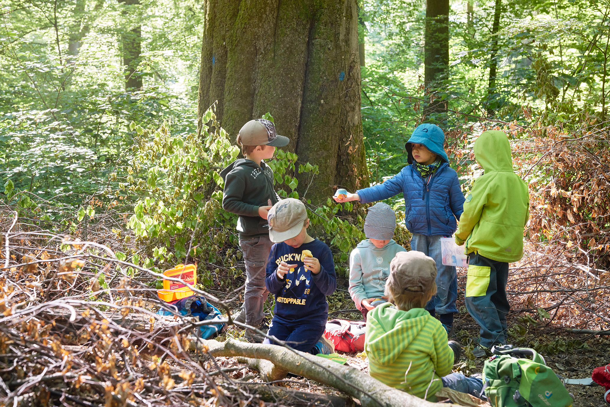 gerry amstutz fotograf  ⇒ 