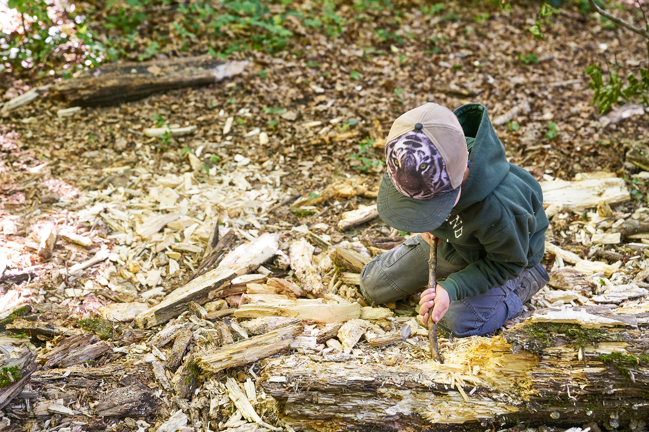 gerry amstutz fotograf  ⇒ 