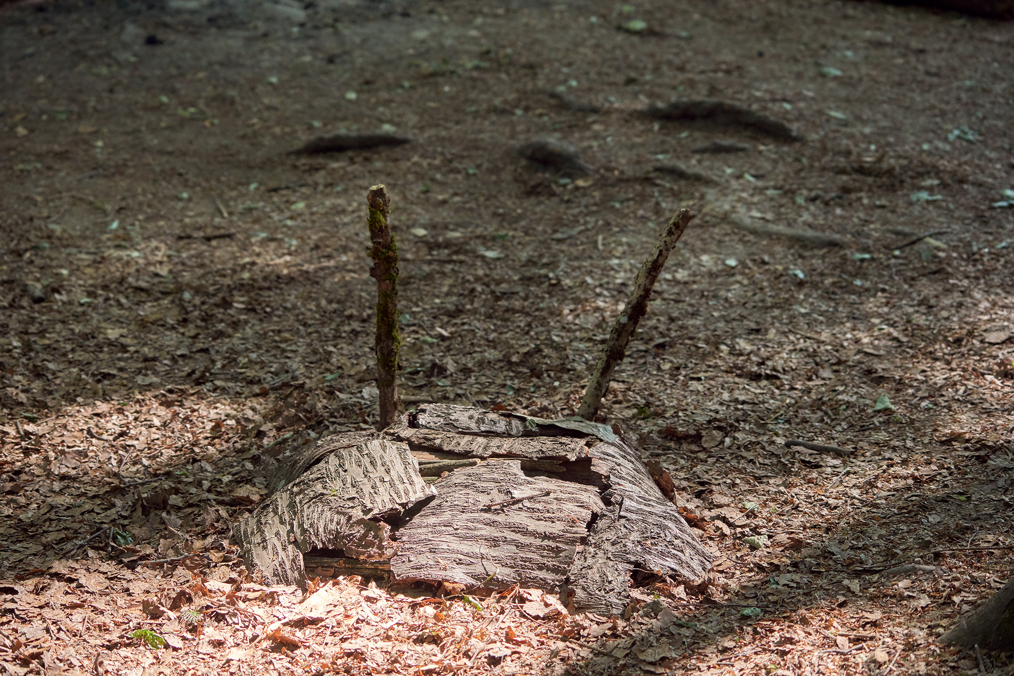 gerry amstutz fotograf  ⇒ 