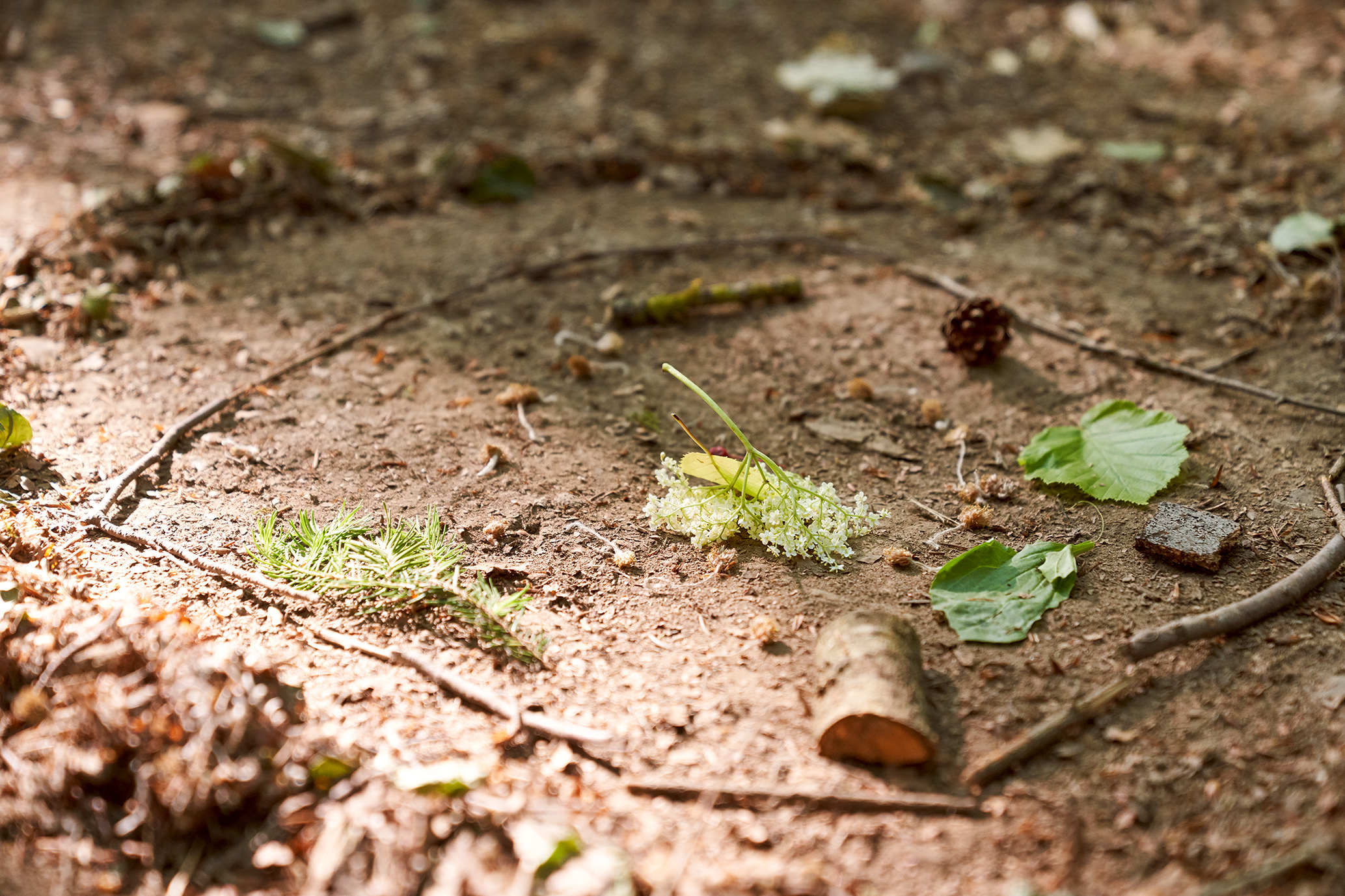 gerry amstutz fotograf  ⇒ 